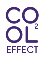 csr4121Cool_Effect_Logo